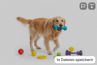 Sicheres Hundespielzeug – Worauf musst du achten?