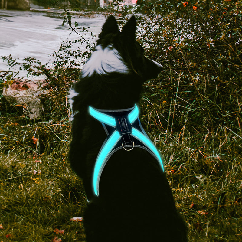 LED-Hundegeschirr mit 8 Leuchtfarben & Reflektor – Wiederaufladbar, für mittlere & große Hunde