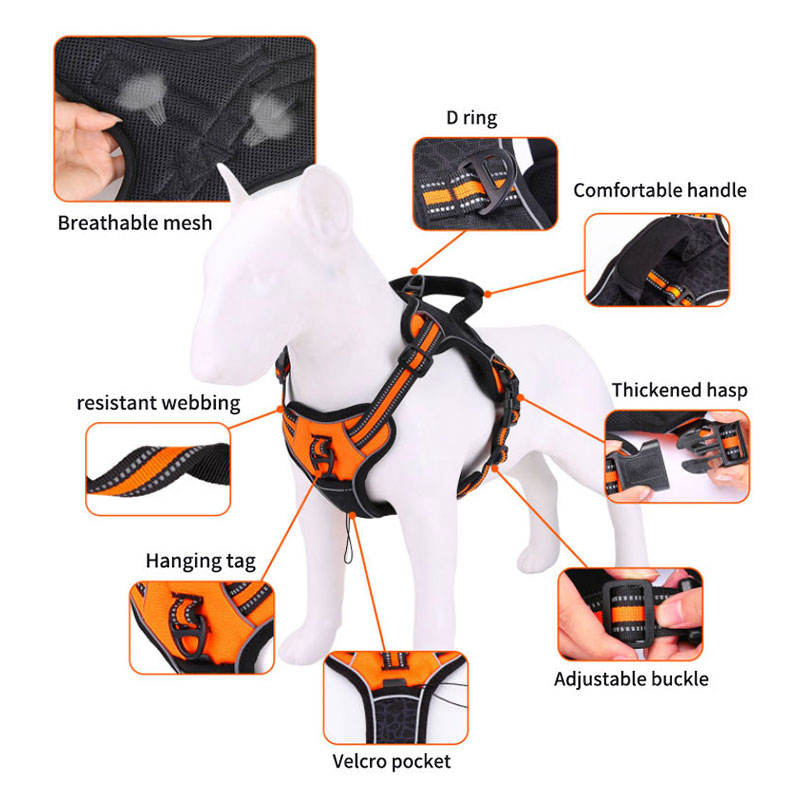 Reflektierendes Hundegeschirr mit Schlangenmuster – Oxford & Reflexstoff, S–XL, 3 Farben