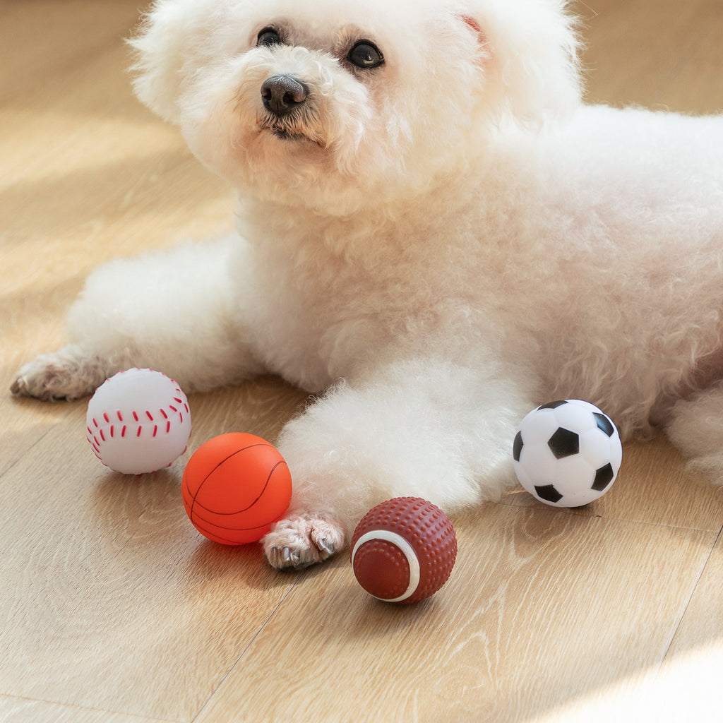 Hunde Spielball Set – Basketball, Fußball, Rugby & Tennis für Hunde