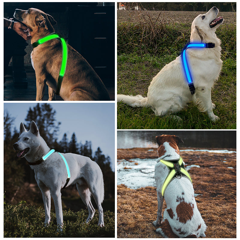 LED-Hundegeschirr mit 8 Leuchtfarben & Reflektor – Wiederaufladbar, für mittlere & große Hunde