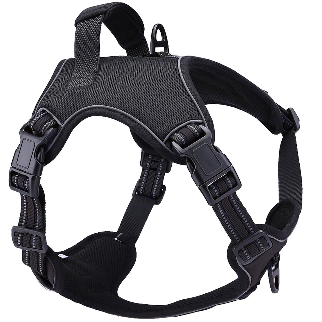 Reflektierendes Hundegeschirr mit Schlangenmuster – Oxford & Reflexstoff, S–XL, 3 Farben