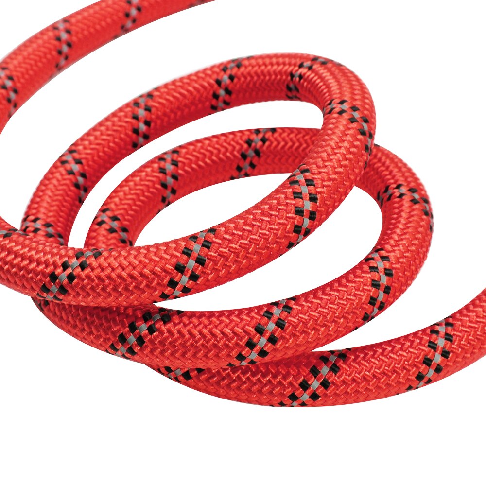 Reflektierende Hundeleine Nylon 150cm – Heavy Duty, 7 Farben, für alle Hundegrößen
