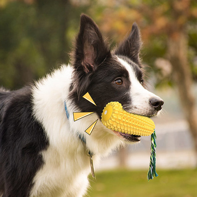 Hunde Mais Quietschspielzeug – Molar-Stick & Zahnbürste für Hunde