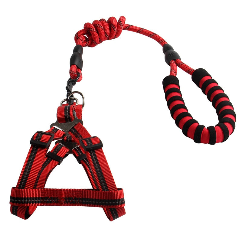 Reflektierende Hundeleine 120cm – Nylon, für große & starke Hunde
