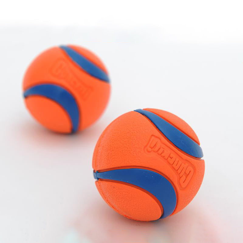 Hunde Quietschball – Bissfestes Kauspielzeug für Welpen & Hunde