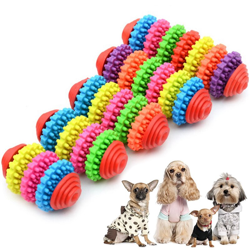Hunde Gummi Kauspielzeug – Zahnpflege für kleine & große Hunde