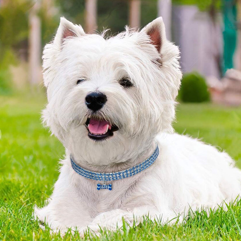 Glamour-Halsband mit Knochen-Anhänger & Kristallen für Hunde & Katzen