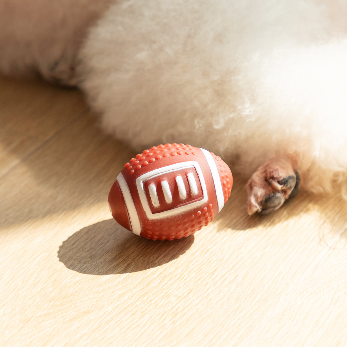 Hunde Spielball Set – Basketball, Fußball, Rugby & Tennis für Hunde