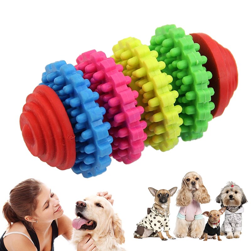 Hunde Gummi Kauspielzeug – Zahnpflege für kleine & große Hunde