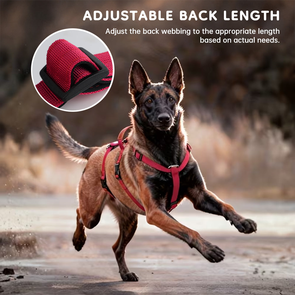 Taktisches Hundegeschirr im Schutzwesten-Look – Anti-Zug, für große Hunde, S–L, 9 Farben