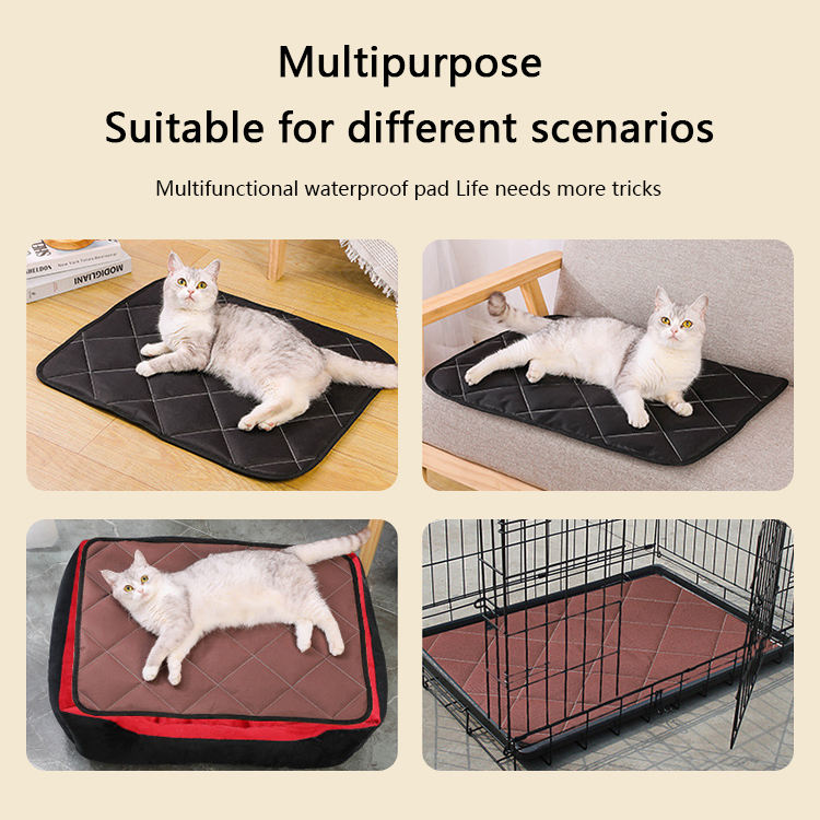 Anti-Kratz & Biss-resistente Hundeunterlage – Oxford-Stoff, rutschfest, Größen 40×30 bis 90×70 cm