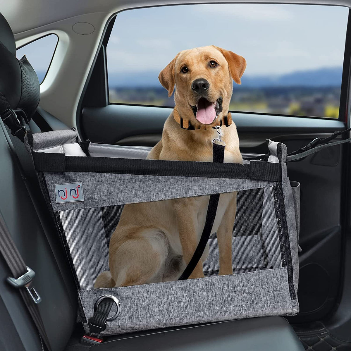 Auto-Hundekorb Rücksitz – Wasserdichte Schutzdecke mit Korb für Hunde