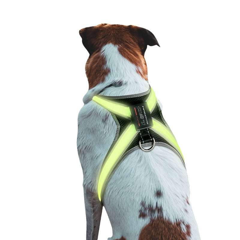 LED-Hundegeschirr mit 8 Leuchtfarben & Reflektor – Wiederaufladbar, für mittlere & große Hunde