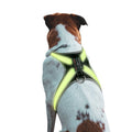 LED-Hundegeschirr mit 8 Leuchtfarben & Reflektor – Wiederaufladbar, für mittlere & große Hunde